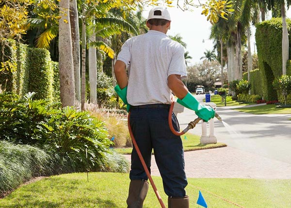 About South Fulton TN Pest Control Pros